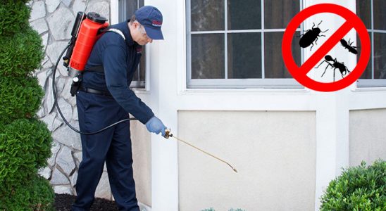 Sarıoğlan Böcek İlaçlama böcek ilaçlama ve haşere kontrolü — ilaclama-tr.com